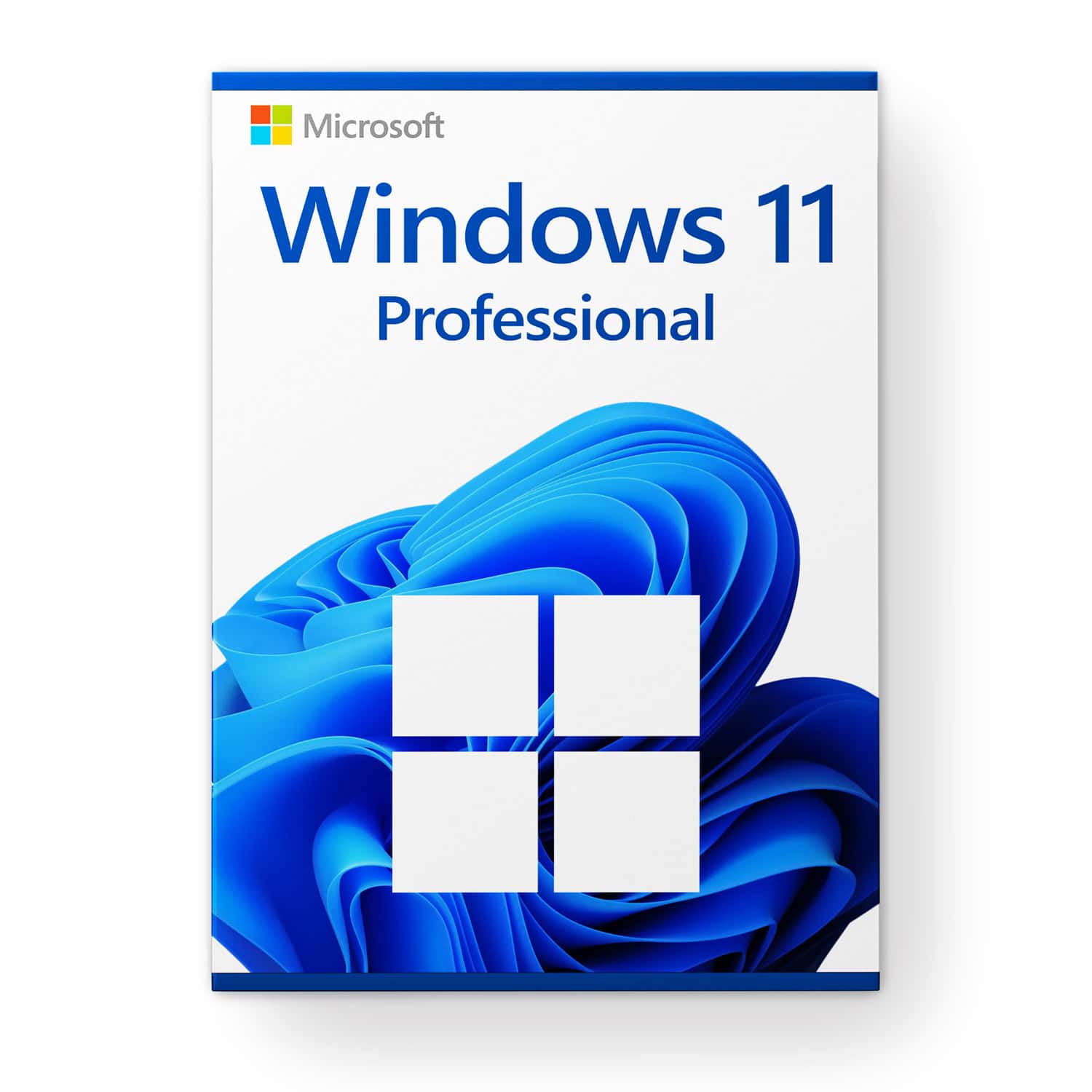 Windows 11